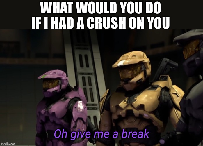 No stellar, you may not comment | WHAT WOULD YOU DO IF I HAD A CRUSH ON YOU | image tagged in oh give me a break,begone thot,rvb,york | made w/ Imgflip meme maker