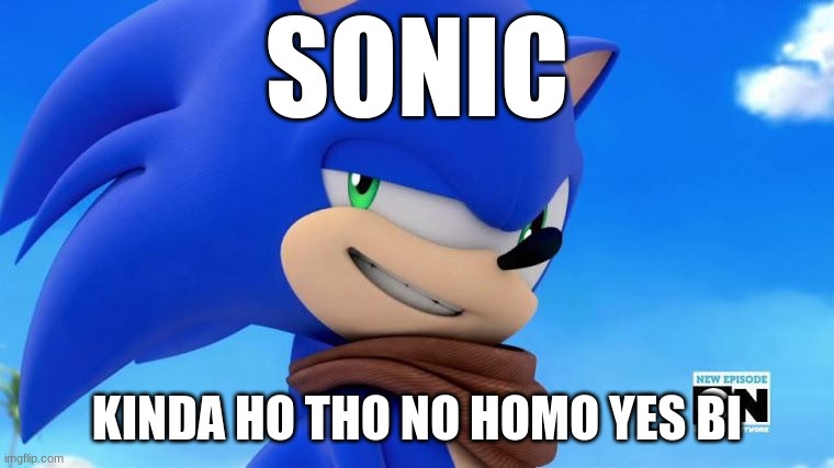 Sonic Meme | SONIC KINDA HO THO NO HOMO YES BI | image tagged in sonic meme | made w/ Imgflip meme maker