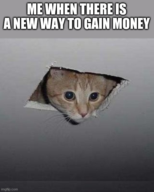 who can relate? | ME WHEN THERE IS A NEW WAY TO GAIN MONEY | image tagged in memes,ceiling cat | made w/ Imgflip meme maker