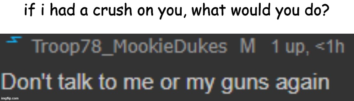 lol | if i had a crush on you, what would you do? | image tagged in don't talk to me or my guns again | made w/ Imgflip meme maker