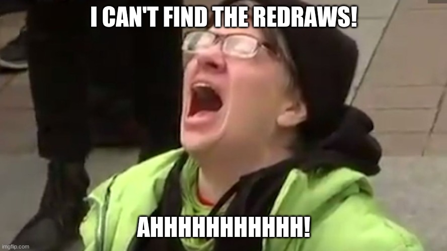 nooooooo!!! whyyyyyyyyyyyyy!! | I CAN'T FIND THE REDRAWS! AHHHHHHHHHHH! | image tagged in screaming liberal | made w/ Imgflip meme maker