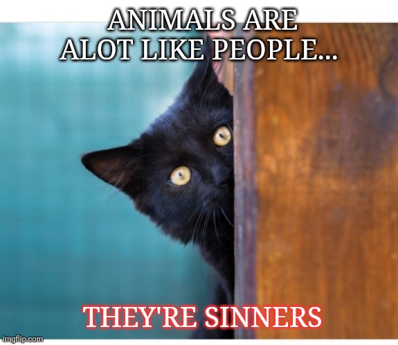 ANIMALS ARE ALOT LIKE PEOPLE... THEY'RE SINNERS | image tagged in crazy,cats,dark humor | made w/ Imgflip meme maker