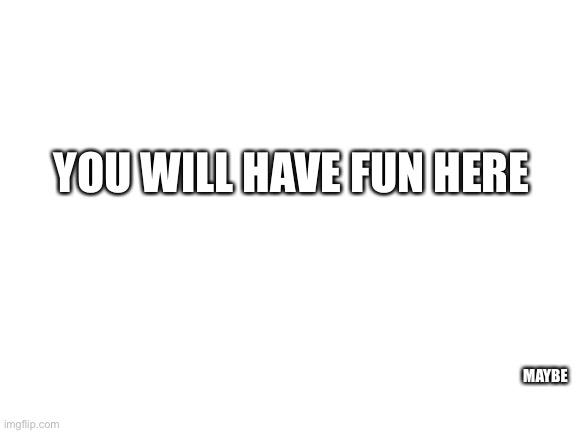 Blank White Template | YOU WILL HAVE FUN HERE MAYBE | image tagged in blank white template | made w/ Imgflip meme maker