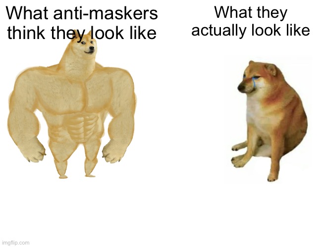 Buff Doge vs. Cheems | What anti-maskers think they look like; What they actually look like | image tagged in memes,buff doge vs cheems | made w/ Imgflip meme maker