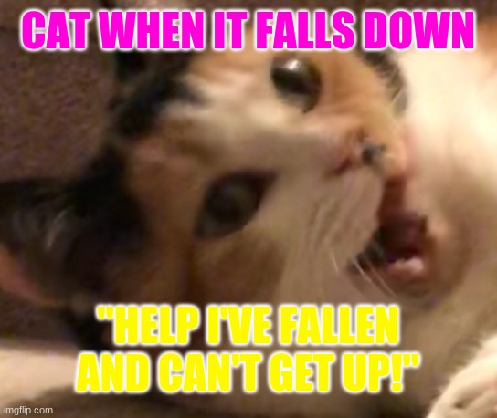 Screaming cat pebble | CAT WHEN IT FALLS DOWN; "HELP I'VE FALLEN AND CAN'T GET UP!" | image tagged in screaming cat pebble | made w/ Imgflip meme maker