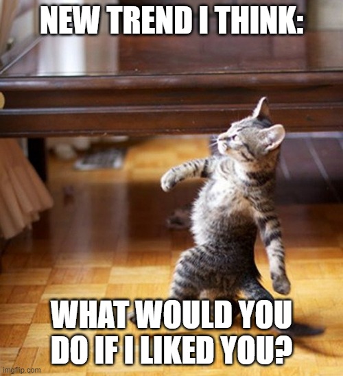 Idk....lol...new trend | NEW TREND I THINK:; WHAT WOULD YOU DO IF I LIKED YOU? | image tagged in memer,trends,crush,lol,idk,craziness_all_the_way | made w/ Imgflip meme maker