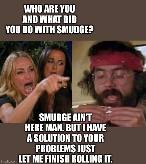 Karen vs. Tommy Chong | WHO ARE YOU AND WHAT DID YOU DO WITH SMUDGE? SMUDGE AIN'T HERE MAN. BUT I HAVE A SOLUTION TO YOUR PROBLEMS JUST LET ME FINISH ROLLING IT. | image tagged in karen vs table cat | made w/ Imgflip meme maker