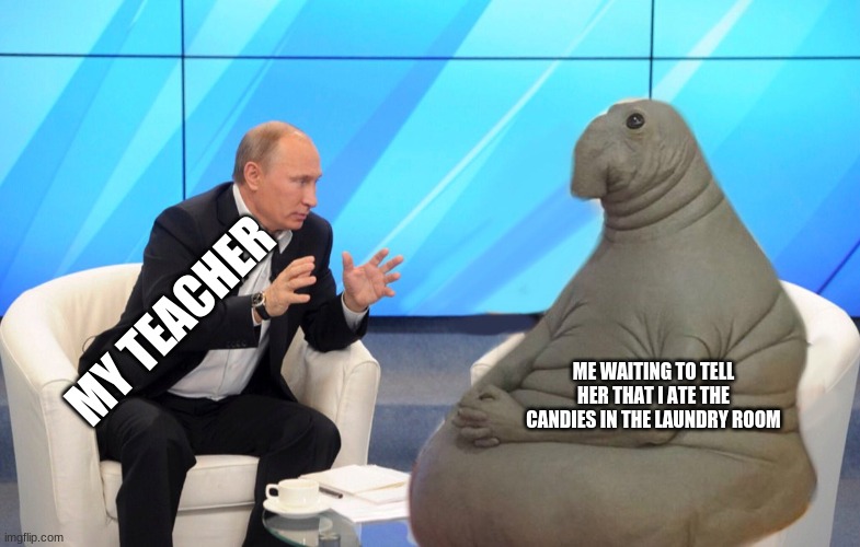 waiting seal | MY TEACHER; ME WAITING TO TELL HER THAT I ATE THE CANDIES IN THE LAUNDRY ROOM | image tagged in waiting seal | made w/ Imgflip meme maker