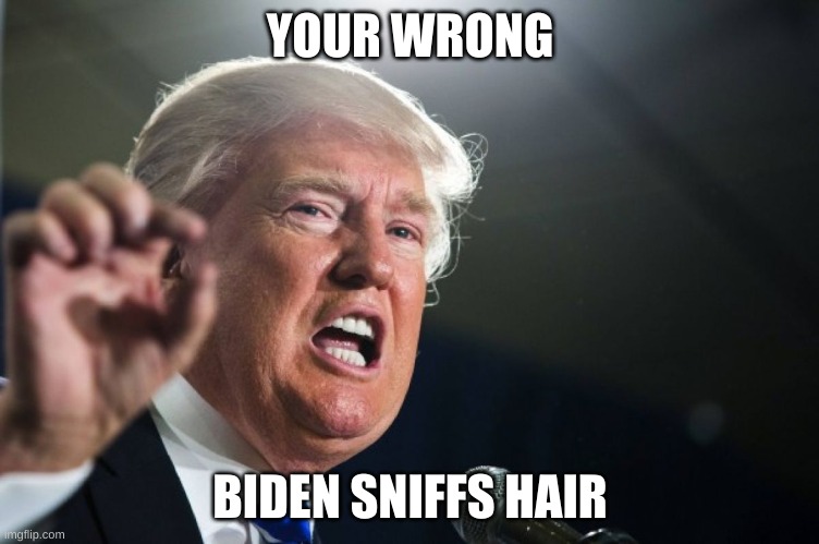 donald trump | YOUR WRONG; BIDEN SNIFFS HAIR | image tagged in donald trump | made w/ Imgflip meme maker