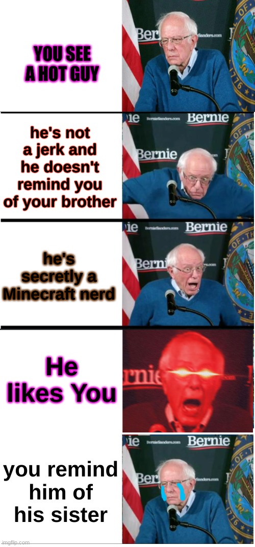 Inverted Bernie Sanders | YOU SEE A HOT GUY; he's not a jerk and he doesn't remind you of your brother; he's secretly a Minecraft nerd; He likes You; you remind him of his sister | image tagged in inverted bernie sanders | made w/ Imgflip meme maker