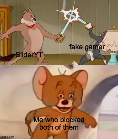 LOL | fake gamer; SliderYT; Me who blocked both of them | image tagged in tom and spike fighting | made w/ Imgflip meme maker