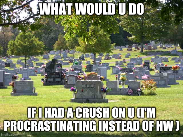 *screeches in procrastination* | WHAT WOULD U DO; IF I HAD A CRUSH ON U (I'M PROCRASTINATING INSTEAD OF HW ) | image tagged in cemetery | made w/ Imgflip meme maker