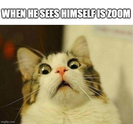 Scared Cat | WHEN HE SEES HIMSELF IS ZOOM | image tagged in memes,scared cat | made w/ Imgflip meme maker