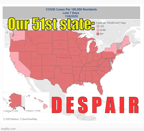 Our 51st state |  Our 51st state:; D E S P A I R | image tagged in despair,covid-19 | made w/ Imgflip meme maker