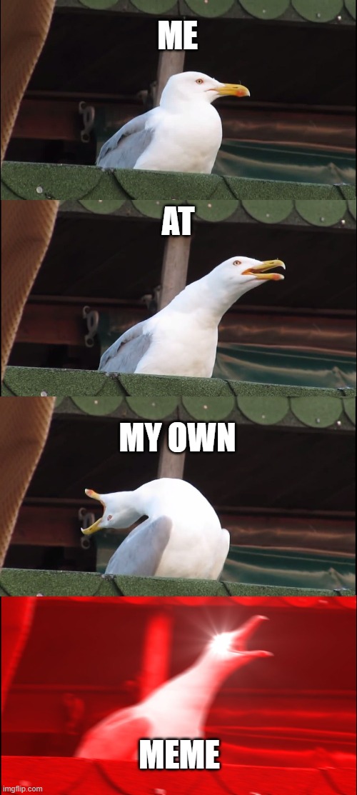 -inhales- | ME; AT; MY OWN; MEME | image tagged in memes,inhaling seagull | made w/ Imgflip meme maker