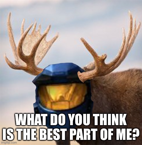 Camoose | WHAT DO YOU THINK IS THE BEST PART OF ME? | image tagged in camoose | made w/ Imgflip meme maker