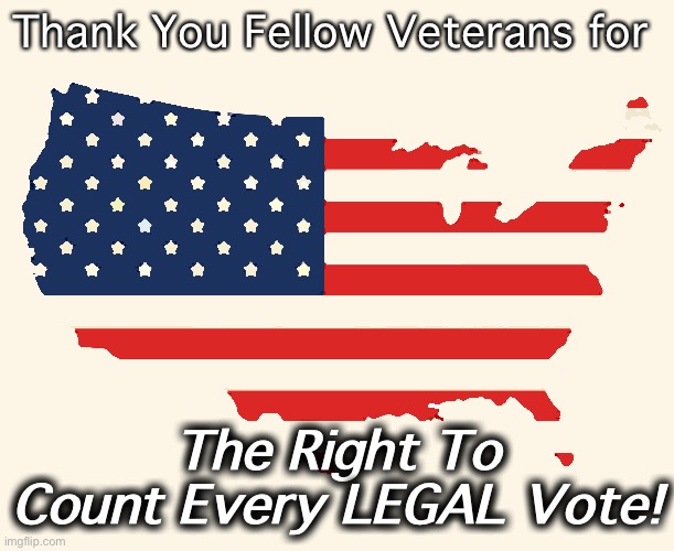 Veterans Day 2020 | Thank You Fellow Veterans for; The Right To Count Every LEGAL Vote! | image tagged in us flag | made w/ Imgflip meme maker
