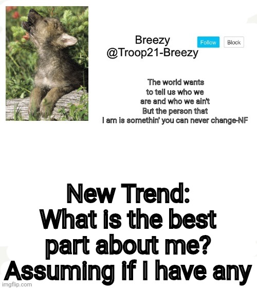 Trooper21-Breezy template | New Trend: What is the best part about me? Assuming if I have any | image tagged in trooper21-breezy template | made w/ Imgflip meme maker