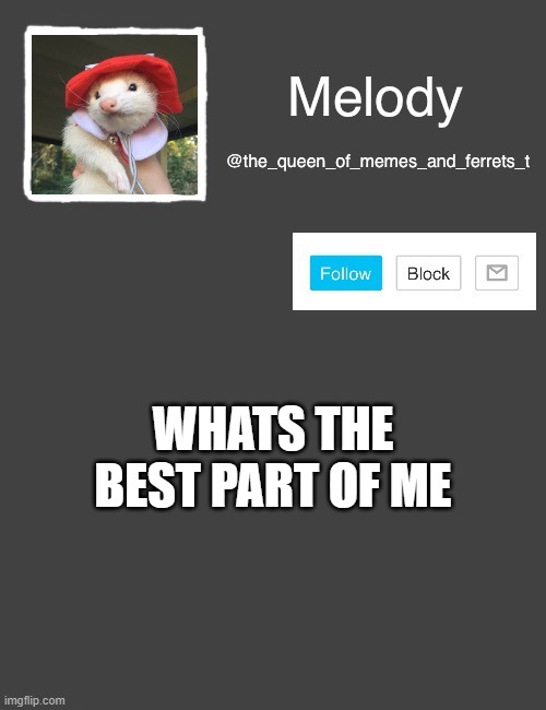 ... | WHATS THE BEST PART OF ME | image tagged in my new template | made w/ Imgflip meme maker