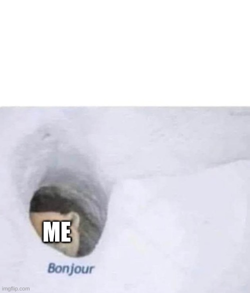 Bonjour | ME | image tagged in bonjour | made w/ Imgflip meme maker