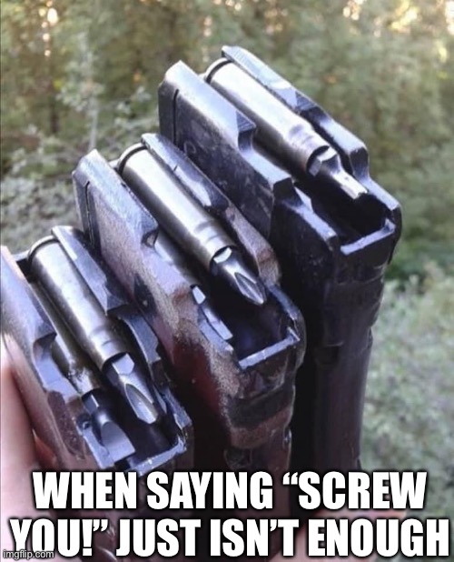 ‘Screw’ you | WHEN SAYING “SCREW YOU!” JUST ISN’T ENOUGH | image tagged in magazine,bullets,bits | made w/ Imgflip meme maker