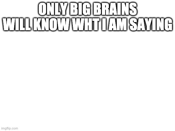 Blank White Template | ONLY BIG BRAINS WILL KNOW WHT I AM SAYING; WELCOME TO BIG BRAIN CLUB,U R SMART | image tagged in blank white template | made w/ Imgflip meme maker