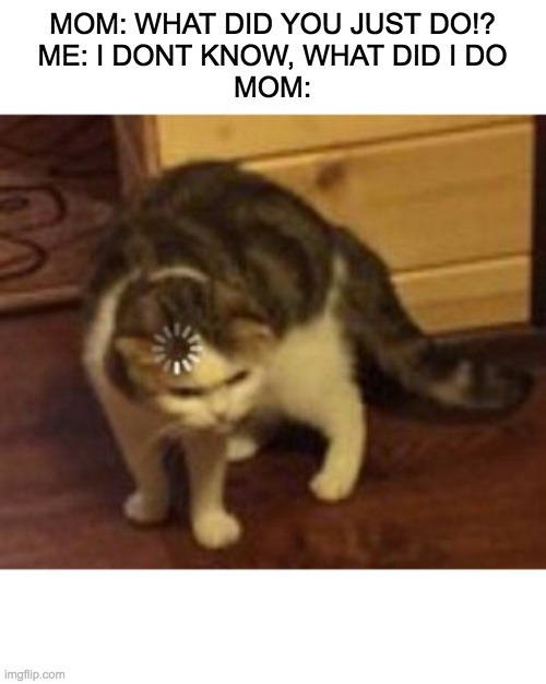 i d k | MOM: WHAT DID YOU JUST DO!?
ME: I DONT KNOW, WHAT DID I DO
MOM: | image tagged in loading cat | made w/ Imgflip meme maker