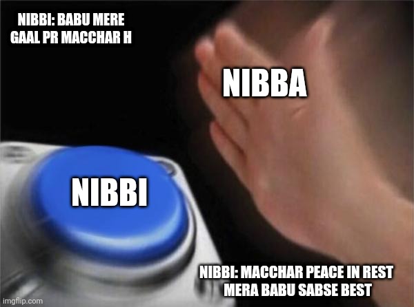 Nibba nibbi aur mai | NIBBI: BABU MERE GAAL PR MACCHAR H; NIBBA; NIBBI; NIBBI: MACCHAR PEACE IN REST
 MERA BABU SABSE BEST | image tagged in memes,blank nut button | made w/ Imgflip meme maker