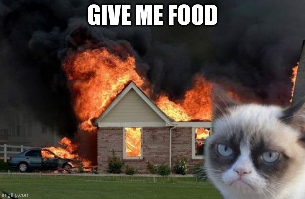 Burn Kitty | GIVE ME FOOD | image tagged in memes,burn kitty,grumpy cat | made w/ Imgflip meme maker