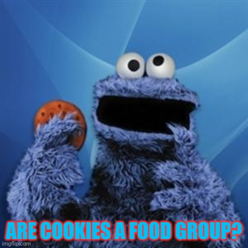 cookie monster | ARE COOKIES A FOOD GROUP? | image tagged in cookie monster | made w/ Imgflip meme maker