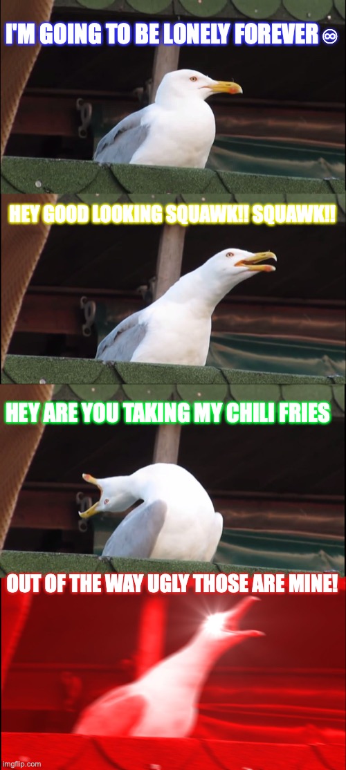 Am I right or am I right ? | I'M GOING TO BE LONELY FOREVER ♾; HEY GOOD LOOKING SQUAWK!! SQUAWK!! HEY ARE YOU TAKING MY CHILI FRIES; OUT OF THE WAY UGLY THOSE ARE MINE! | image tagged in memes,inhaling seagull | made w/ Imgflip meme maker