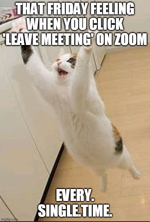 Leave zoom call | THAT FRIDAY FEELING WHEN YOU CLICK 'LEAVE MEETING' ON ZOOM; EVERY. SINGLE.TIME. | image tagged in jumping for joy,zoom,memes,overjoyed | made w/ Imgflip meme maker