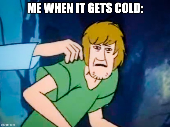 yes | ME WHEN IT GETS COLD: | image tagged in shaggy meme | made w/ Imgflip meme maker