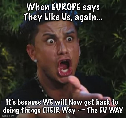 This was in November 2020, when FJB was TAKING the White House | When EUROPE says They Like Us, again... It’s because WE will Now get back to 
doing things THEIR Way — The EU WAY | image tagged in memes,dj pauly d,fjb voters kissmyass | made w/ Imgflip meme maker