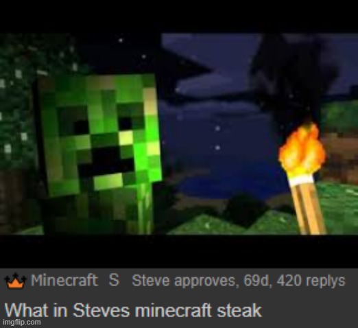 What in steves minecraft steak | made w/ Imgflip meme maker