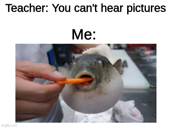 Aeugh | Teacher: You can't hear pictures; Me: | image tagged in p,u,f,fer,fi,sh | made w/ Imgflip meme maker