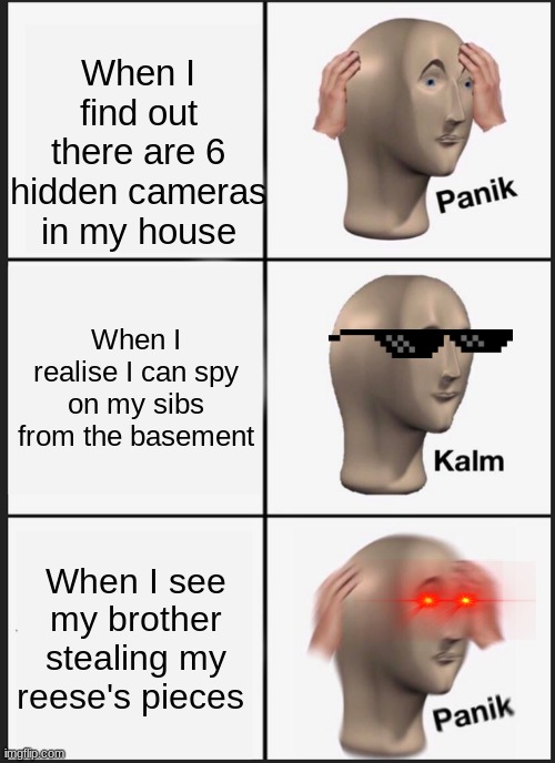 true story | When I find out there are 6 hidden cameras in my house; When I realise I can spy on my sibs from the basement; When I see my brother stealing my reese's pieces | image tagged in memes,panik kalm panik | made w/ Imgflip meme maker