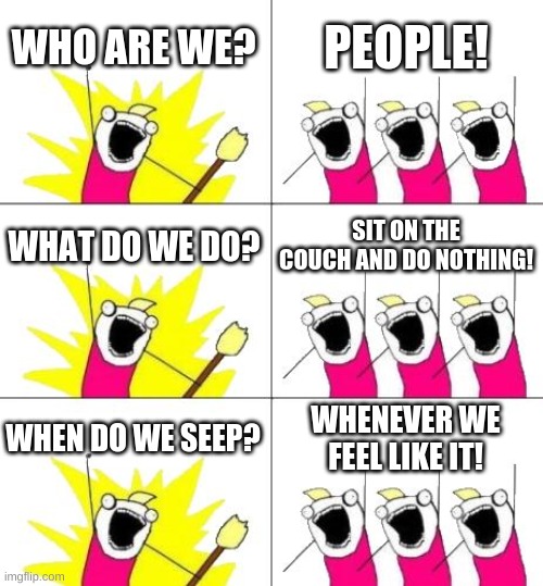 PEOPLE! | WHO ARE WE? PEOPLE! WHAT DO WE DO? SIT ON THE COUCH AND DO NOTHING! WHEN DO WE SEEP? WHENEVER WE FEEL LIKE IT! | image tagged in memes,what do we want 3 | made w/ Imgflip meme maker