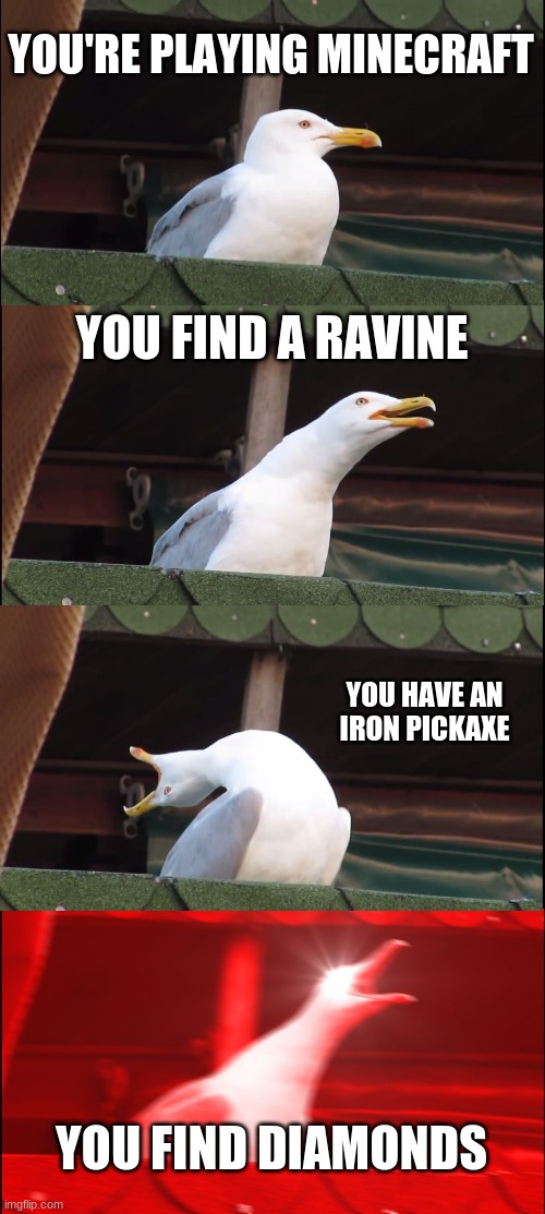 Inhaling Seagull Meme | YOU'RE PLAYING MINECRAFT; YOU FIND A RAVINE; YOU HAVE AN IRON PICKAXE; YOU FIND DIAMONDS | image tagged in memes,inhaling seagull | made w/ Imgflip meme maker