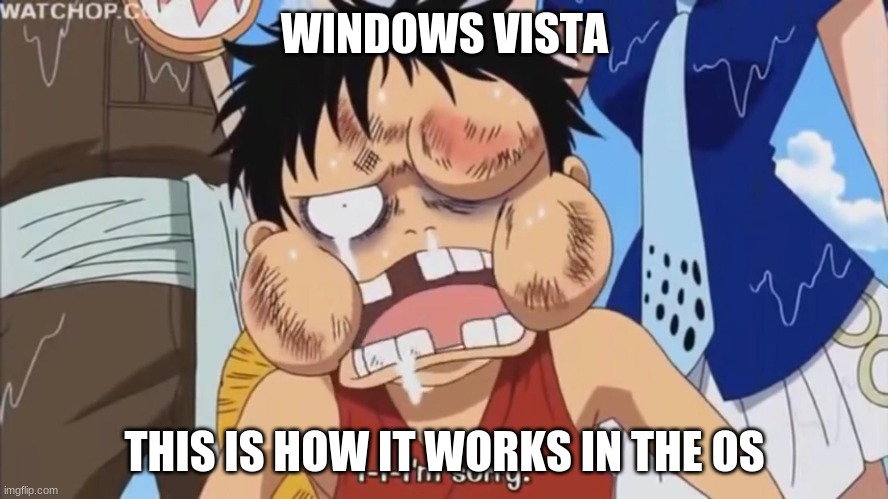 Bad Windows Vista | WINDOWS VISTA; THIS IS HOW IT WORKS IN THE OS | image tagged in luffy beaten up,microsoft,windows | made w/ Imgflip meme maker