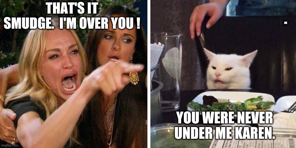 Smudge the cat | THAT'S IT SMUDGE.  I'M OVER YOU ! JM; YOU WERE NEVER UNDER ME KAREN. | image tagged in smudge the cat | made w/ Imgflip meme maker