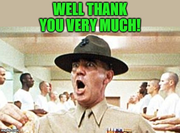 Full Metal Jacket USMC Drill Sergeant R Lee Ermey Cropped | WELL THANK YOU VERY MUCH! | image tagged in full metal jacket usmc drill sergeant r lee ermey cropped | made w/ Imgflip meme maker