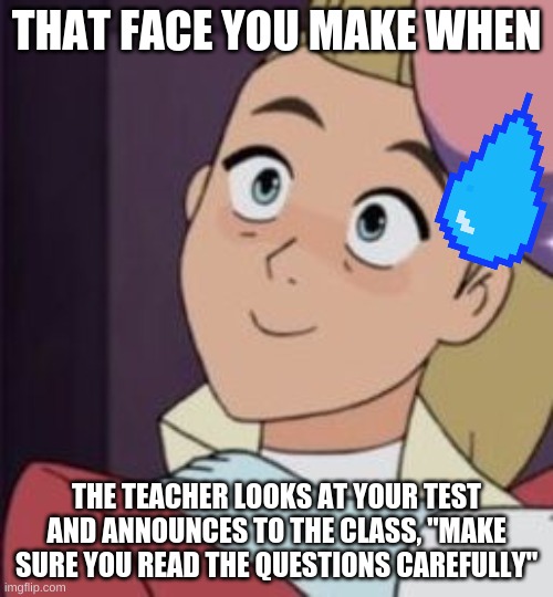 shera | THAT FACE YOU MAKE WHEN; THE TEACHER LOOKS AT YOUR TEST AND ANNOUNCES TO THE CLASS, "MAKE SURE YOU READ THE QUESTIONS CAREFULLY" | image tagged in shera | made w/ Imgflip meme maker