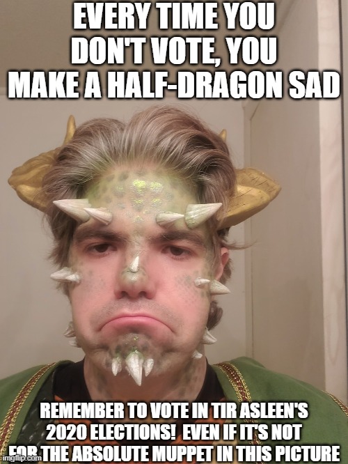 EVERY TIME YOU DON'T VOTE, YOU MAKE A HALF-DRAGON SAD; REMEMBER TO VOTE IN TIR ASLEEN'S 2020 ELECTIONS!  EVEN IF IT'S NOT FOR THE ABSOLUTE MUPPET IN THIS PICTURE | made w/ Imgflip meme maker