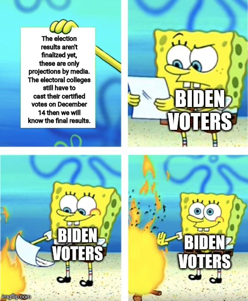 The election results aren't finalized | The election results aren't finalized yet, these are only projections by media. The electoral colleges still have to cast their certified votes on December 14 then we will know the final results. BIDEN VOTERS; BIDEN VOTERS; BIDEN VOTERS | image tagged in spongebob burning paper,election 2020,electoral college,mainstream media | made w/ Imgflip meme maker