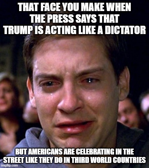 America is now a Third World country? | THAT FACE YOU MAKE WHEN THE PRESS SAYS THAT TRUMP IS ACTING LIKE A DICTATOR; BUT AMERICANS ARE CELEBRATING IN THE STREET LIKE THEY DO IN THIRD WORLD COUNTRIES | image tagged in crying peter parker,election 2020,third world,celebration,what the hell is wrong with you people,doing it wrong | made w/ Imgflip meme maker