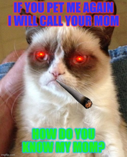 Grumpy Cat Meme | IF YOU PET ME AGAIN I WILL CALL YOUR MOM; HOW DO YOU KNOW MY MOM? | image tagged in memes,grumpy cat | made w/ Imgflip meme maker