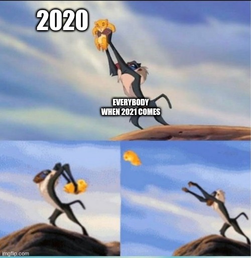 Yeet 2020 away | 2020; EVERYBODY WHEN 2021 COMES | image tagged in lion being yeeted | made w/ Imgflip meme maker