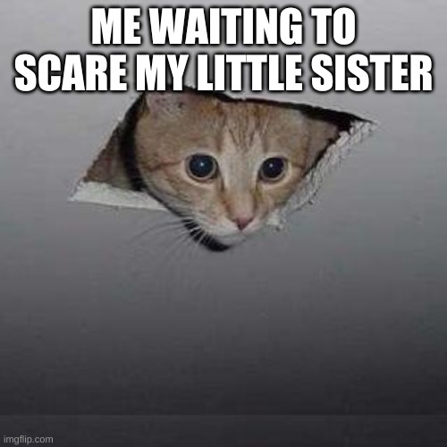 Ceiling Cat | ME WAITING TO SCARE MY LITTLE SISTER | image tagged in memes,ceiling cat | made w/ Imgflip meme maker