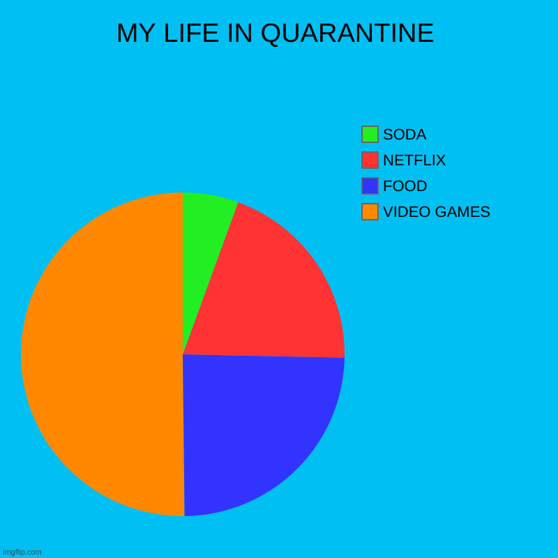 MY LIFE IN QUARANTINE | VIDEO GAMES, FOOD, NETFLIX, SODA | image tagged in charts,pie charts | made w/ Imgflip chart maker